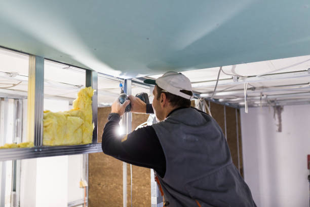 Best Specialty Insulation in Farmer City, IL