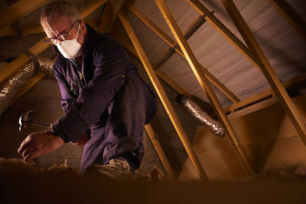 Best Insulation Maintenance and Repair in Farmer City, IL